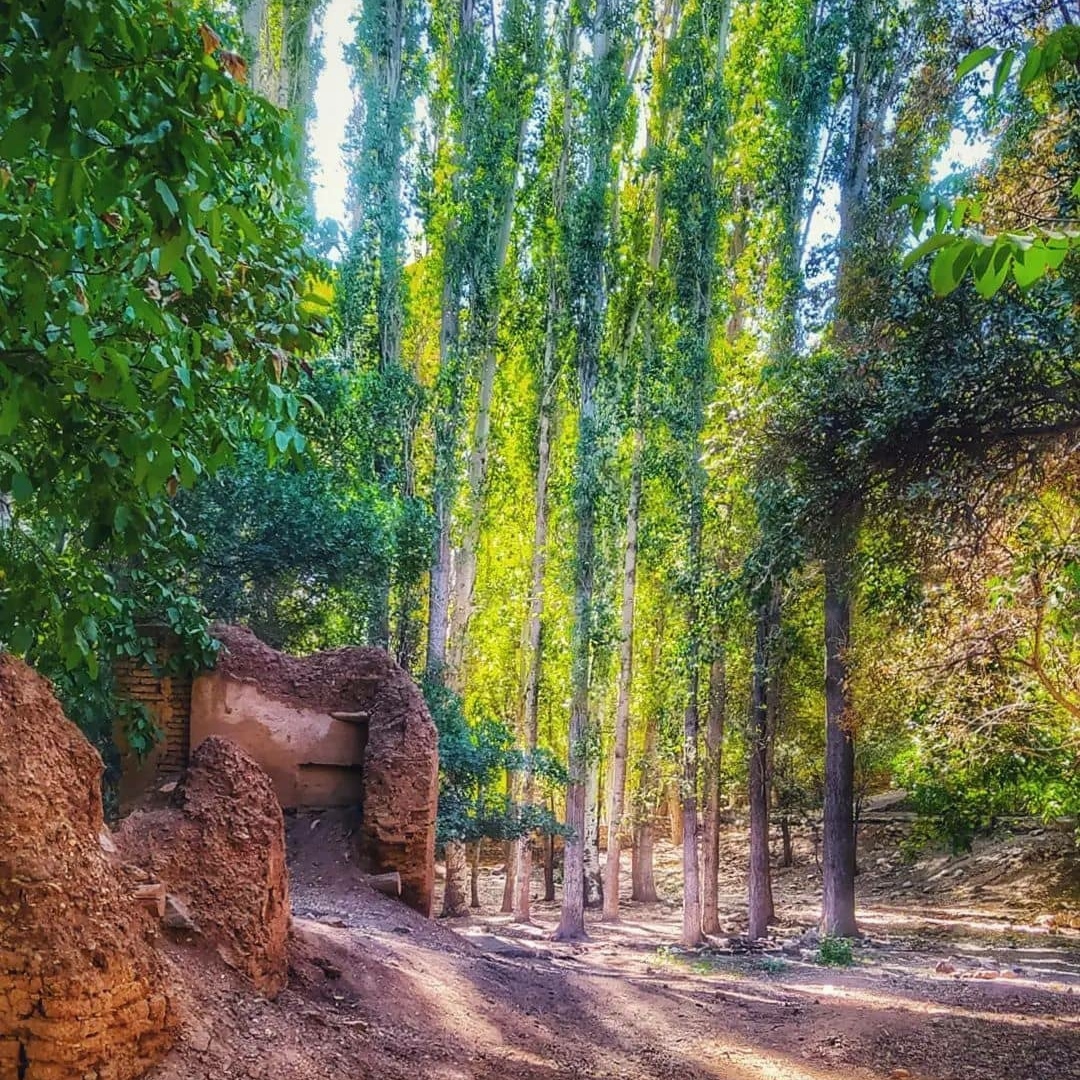  خدا امشو دله مو تنگه تنگه